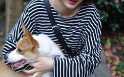 成人无码区免费A片在线软件